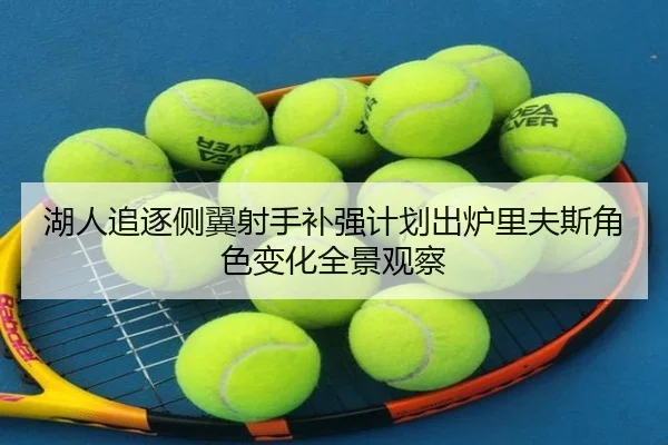 湖人追逐侧翼射手补强计划出炉里夫斯角色变化全景观察